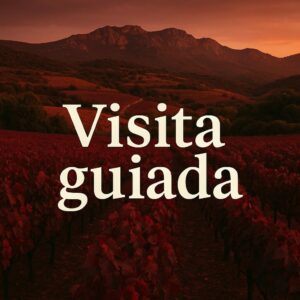 Visita guiada de Bodegas y Viñas